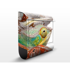 Poštovní schránka s potiskem Barevní chameleoni