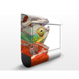 Poštovní schránka s potiskem Colorful Chameleon