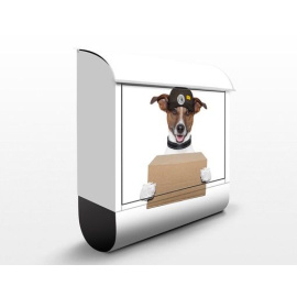 Poštovní schránka s potiskem Pes s balíčkem